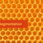 Network Segmentation: A Guide to Safer, Smarter Networks